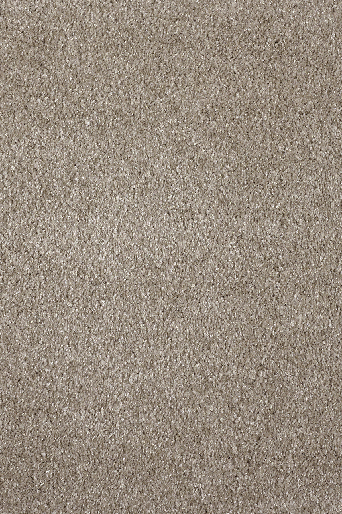 Ковровое покрытие "Bonkeel" Parana 34 (ширина 4м/5м) — купить в Иркутске