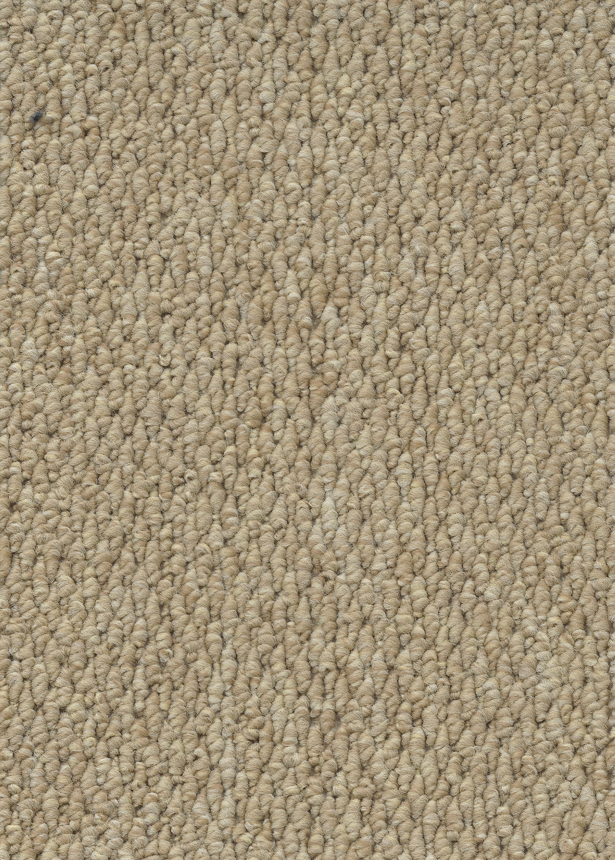 Ковровое покрытие "Bonkeel" Skye 50 (ширина 4м) — купить в Иркутске